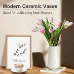 Weiße Keramikvase, GUKJOB, kleine süße Blumenvase für Pampasgras, Zuhause, Wohnzimmer, Esstisch, Bauernhaus, Bürodekoration, Schlafzimmer, Tisch und Küchenregal (weiß)