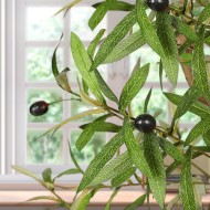 7 Fuß künstlicher Olivenbaum – gefälschter eingetopfter Olivenbaum aus Seide mit Pflanzgefäß, natürliche Olivenzweige und realistische Blätter, künstlicher Baum für Zuhause, Haus, Büro, Dekoration im Innenbereich 7 Fuß künstlicher Olivenbaum – gefälschter eingetopfter Olivenbaum aus Seide mit Pflanzgefäß, natürliche Olivenzweige und realistische Blätter, künstlicher Baum für Zuhause, Haus, Büro, Dekoration im Innenbereich