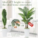 6FT Künstliche Palme, hohe künstliche Palme für den Innenbereich mit künstlichen Pflanzen, hohe künstliche Pflanzen mit lebensechten Blättern für die Heim- und Bürodekoration (weiß) 6FT Künstliche Palme, hohe künstliche Palme für den Innenbereich mit künstlichen Pflanzen, hohe künstliche Pflanzen mit lebensechten Blättern für die Heim- und Bürodekoration (weiß)